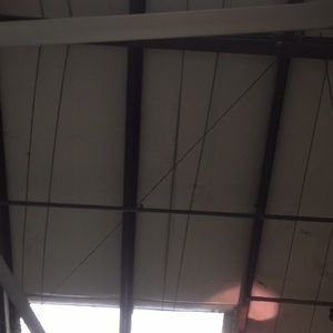 Meet your Posher, Antonio